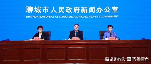 聊城网站优化排名哪家公司好(聊城一个网络)”