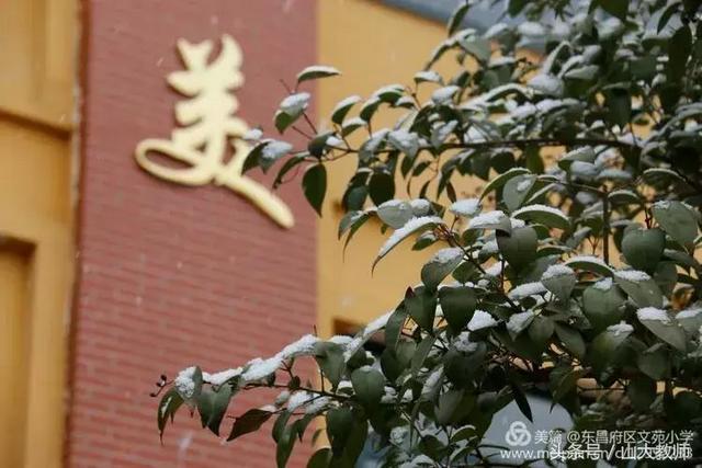 聊城文苑小学网站(聊城文苑小学怎么样)