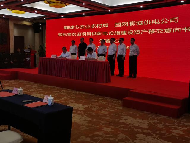 聊城电力公司网站(陕煤长安电力公司网站)