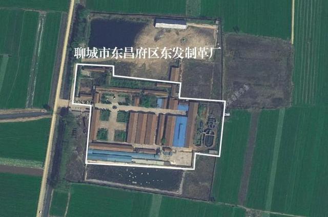 聊城远翔人力资源有限公司网站(聊城通誉人力资源管理有限公司)”