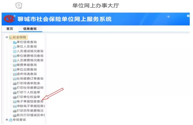 聊城社会养老保险查询网站(陕西省社会养老保险网上个人查询)