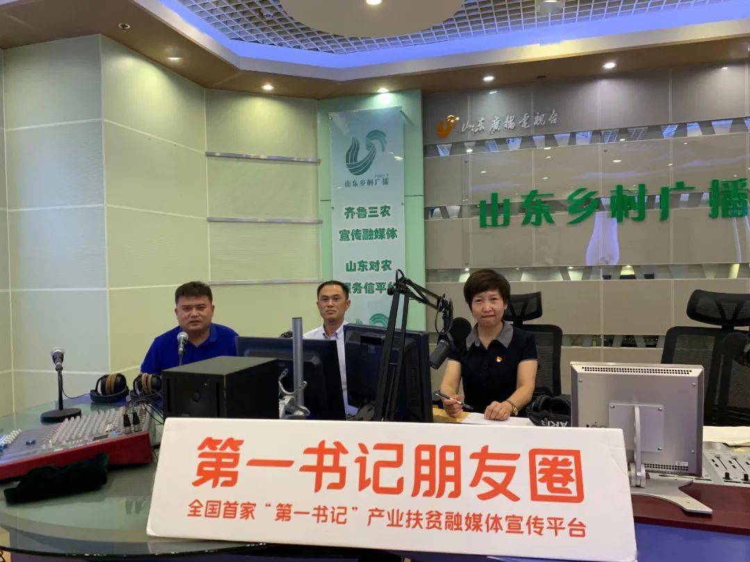 包含聊城市广播电视台网站的词条