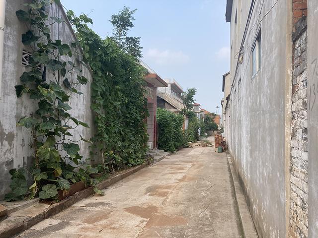 聊城酒店业协会网站(中国酒店业协会)