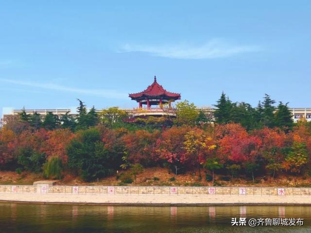 聊城大学继续教育网站的简单介绍