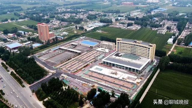 聊城市车管所官方网站(聊城12123车管所)