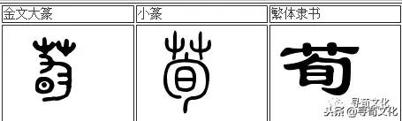 聊城窦余昌鸽舍网站(聊城市中医院许振亚)