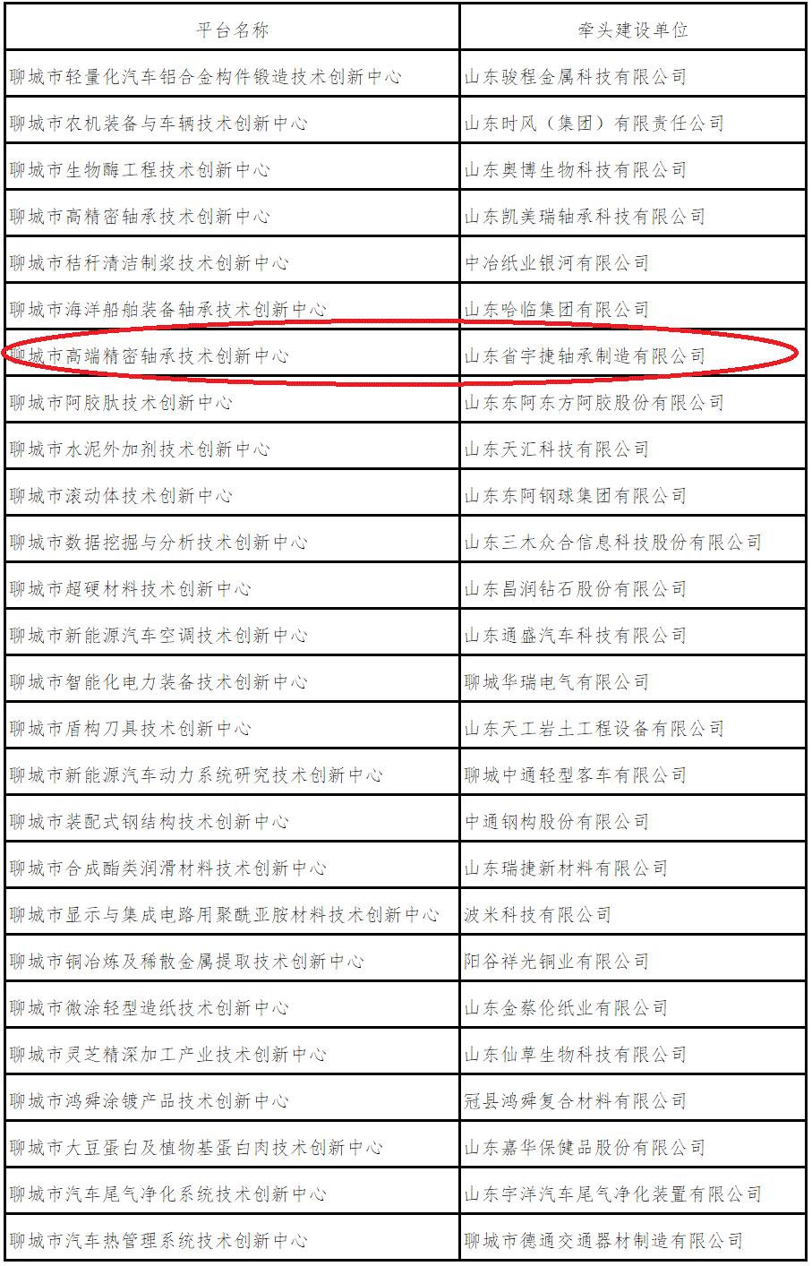 聊城市网站技术平台(聊城继续教育平台登录)