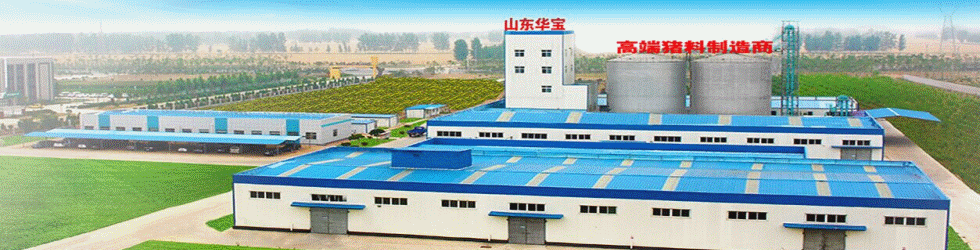 聊城网站建设动态(网站建设技术)”