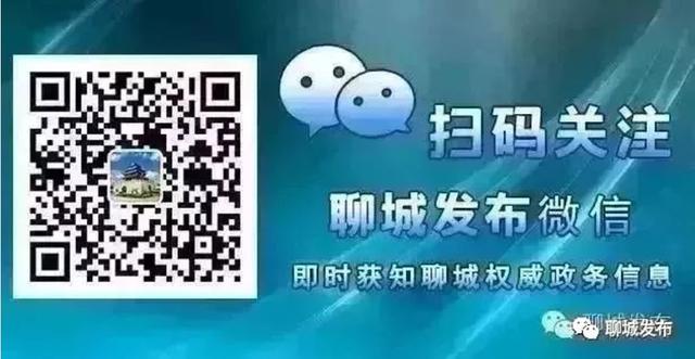 包含聊城市知识产权局官方网站的词条”