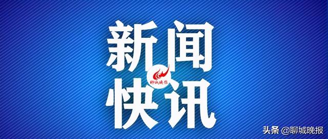 聊城市政府扶持项目的网站(聊城市东昌府区人民政府)”