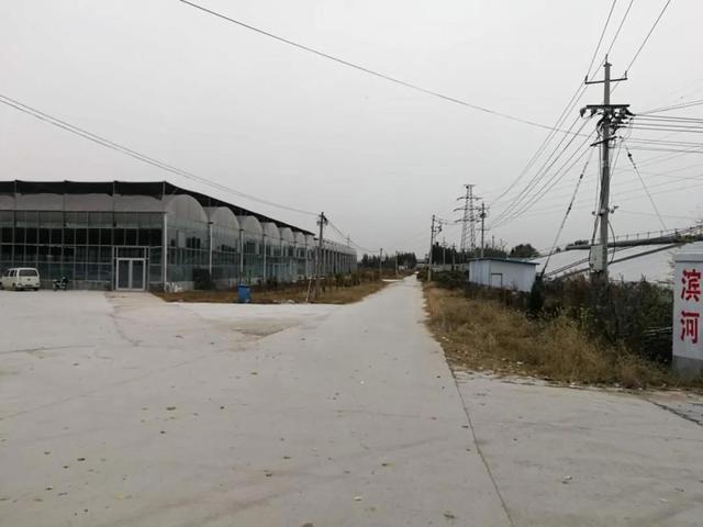 聊城规划局官方网站(聊城市规划局)