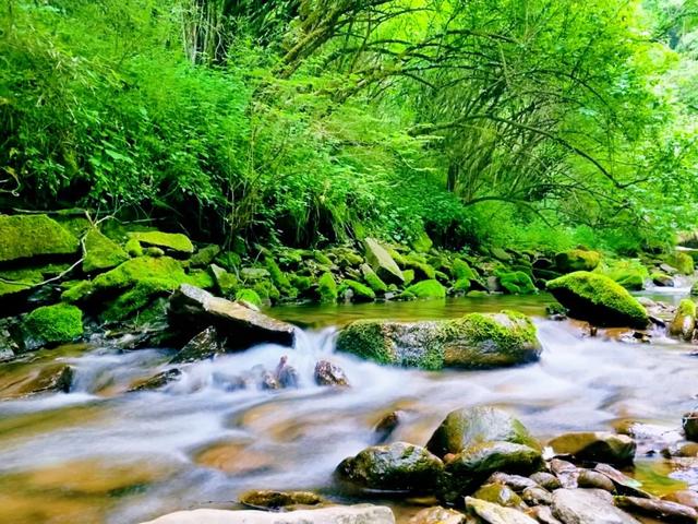 聊城旅游区纪委网站(聊城旅游区在什么地方)