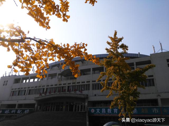 包含聊城大学官方网站查询中心的词条