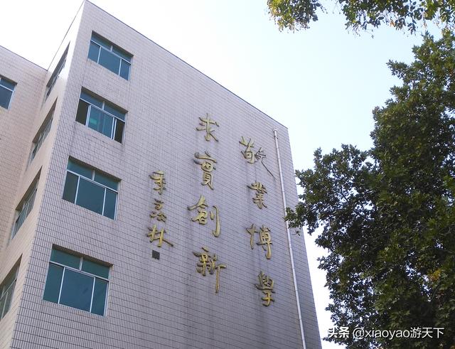 包含聊城大学官方网站查询中心的词条