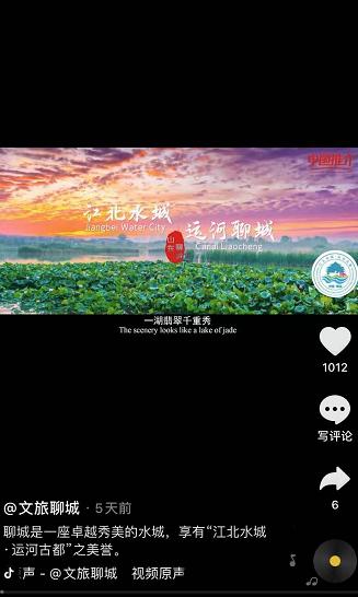 聊城市网站排名(山东聊城新闻最新消息)