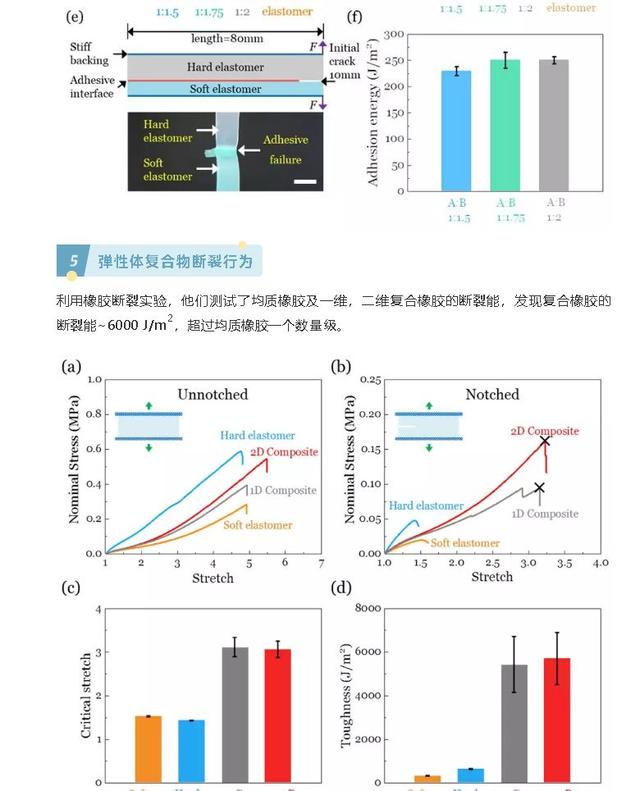 聊城市第二中学网站首页(聊城市第二中学)