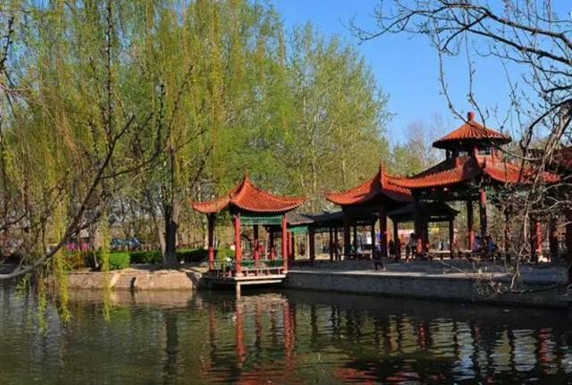 聊城南湖湿地公园网站(聊城南湖湿地公园门票价格)