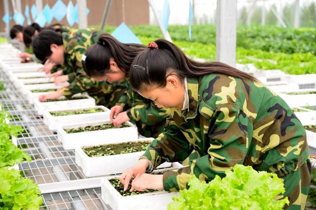 聊城市教育局网站中考系统(咸阳市教育局中考系统)