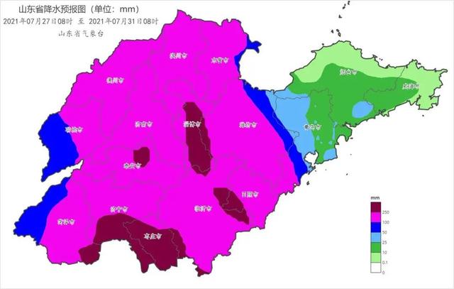聊城市网站托管电话(淄博网络公司)