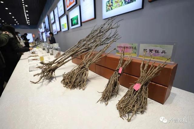 聊城一济南高铁时刻表查询网站(聊城站到济南站有多少里)