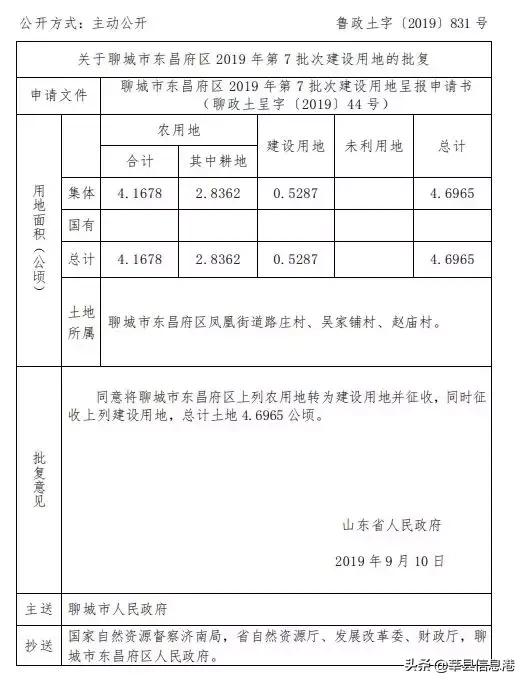 聊城信息港网站(聊城唐金文照片)