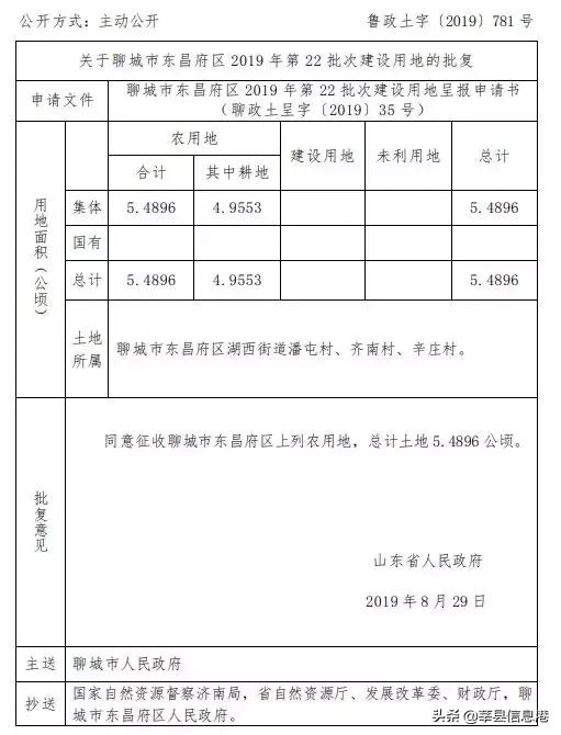 聊城信息港网站(聊城唐金文照片)