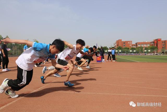 聊城财经学院网站(聊城交通技工学校)