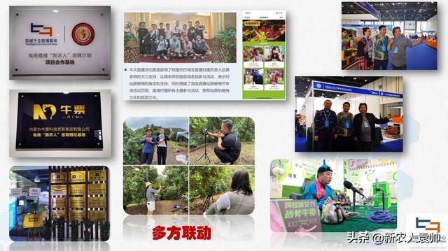 聊城seo网站推广服务(聊城网站建设)