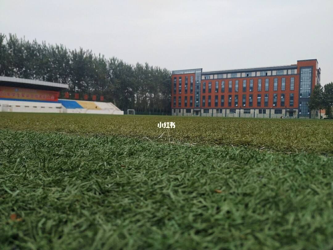 聊城大学东昌学院教育网站(青岛恒星科技学院)