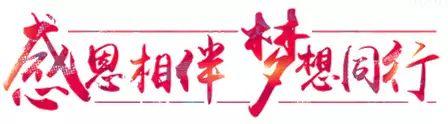聊城市茌平查询分数网站(茌平中考成绩查询)