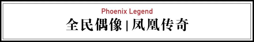 聊城凤凰国际学校网站(聊城大学教育系统)