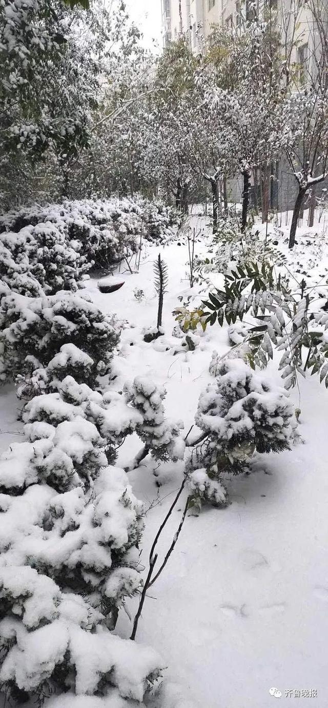 聊城青春美发学校网站(美容美发培训学校)